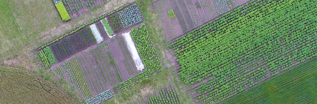 Agriculture
